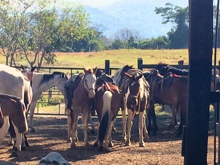 Hotel Hacienda El Rodeo Vueltas Dış mekan fotoğraf