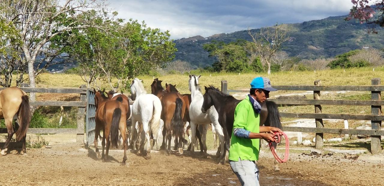 Hotel Hacienda El Rodeo Vueltas Dış mekan fotoğraf